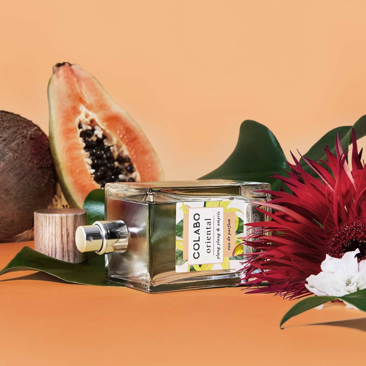 COLABO Eau De Parfum Oriental Con Ylang-Ylang Y Amyris 100ml - Imagen 2